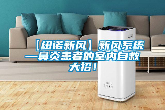 【紐諾新風】新風系統—鼻炎患者的室內自救大招！
