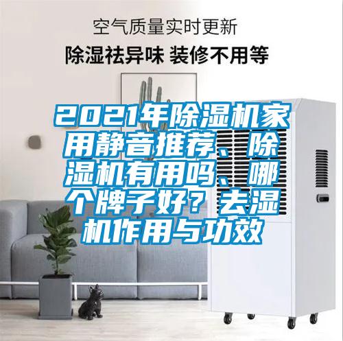 2021年除濕機(jī)家用靜音推薦、除濕機(jī)有用嗎、哪個牌子好？去濕機(jī)作用與功效
