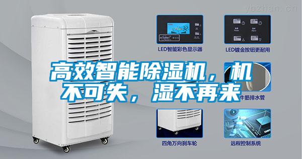 高效智能除濕機(jī)，機(jī)不可失，濕不再來