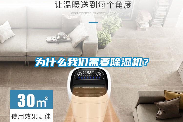 為什么我們需要除濕機？
