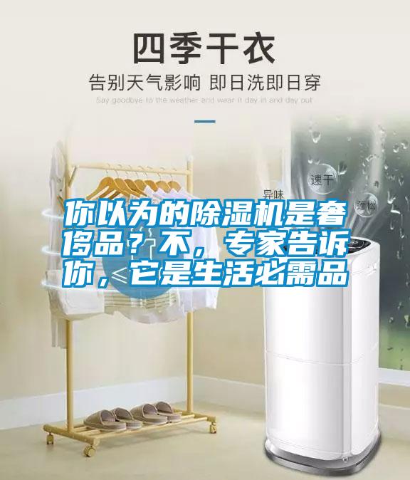 你以為的除濕機是奢侈品？不，專家告訴你，它是生活必需品