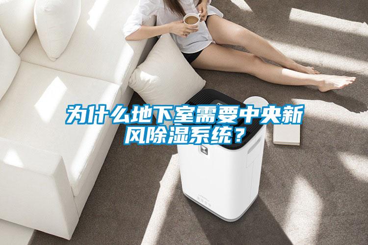 為什么地下室需要中央新風除濕系統(tǒng)？