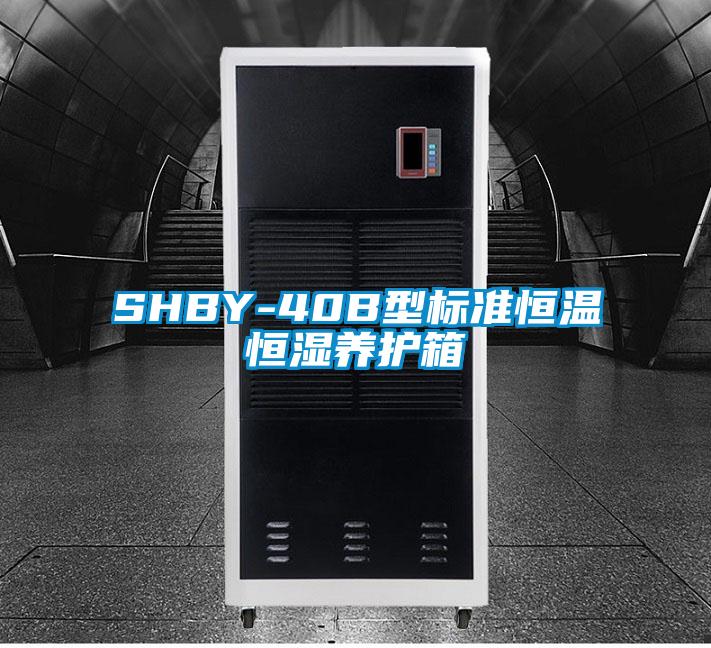 SHBY-40B型標(biāo)準(zhǔn)恒溫恒濕養(yǎng)護箱