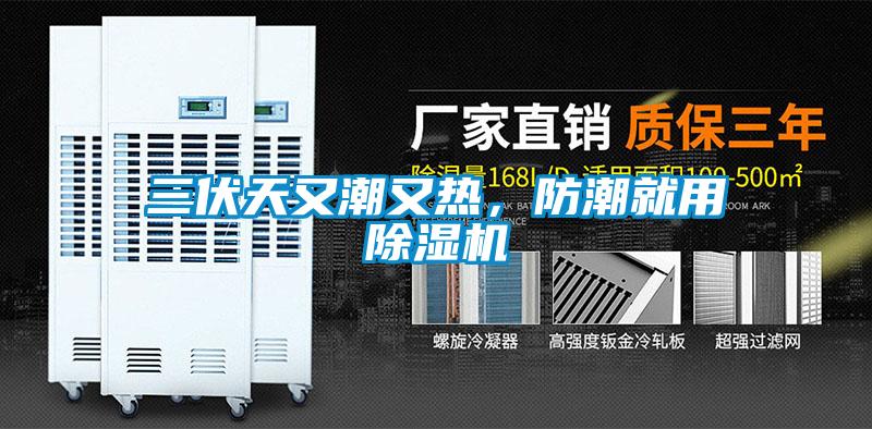 三伏天又潮又熱，防潮就用除濕機(jī)