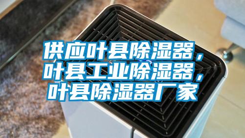 供應(yīng)葉縣除濕器，葉縣工業(yè)除濕器，葉縣除濕器廠(chǎng)家
