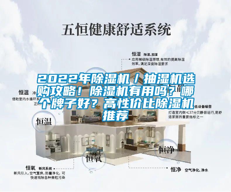 2022年除濕機(jī)／抽濕機(jī)選購攻略！除濕機(jī)有用嗎？哪個(gè)牌子好？高性價(jià)比除濕機(jī)推薦
