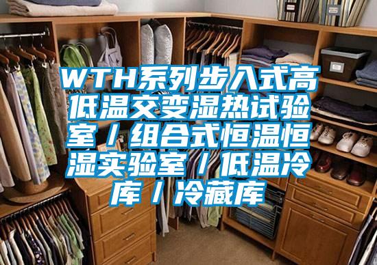 WTH系列步入式高低溫交變濕熱試驗室／組合式恒溫恒濕實(shí)驗室／低溫冷庫／冷藏庫