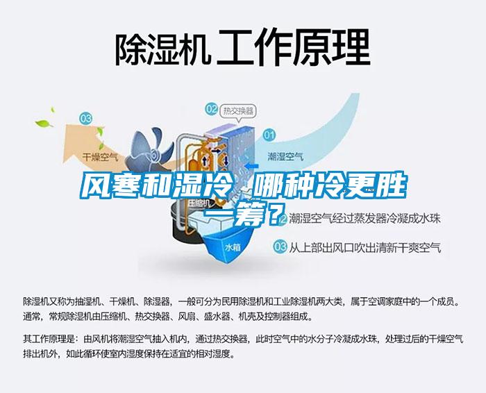風(fēng)寒和濕冷 哪種冷更勝一籌？