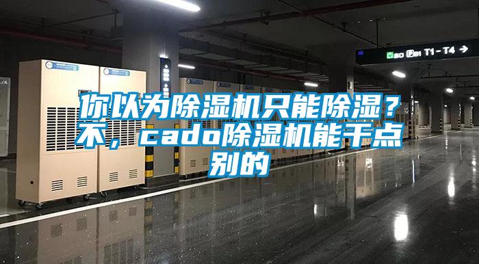 你以為除濕機只能除濕？不，cado除濕機能干點別的