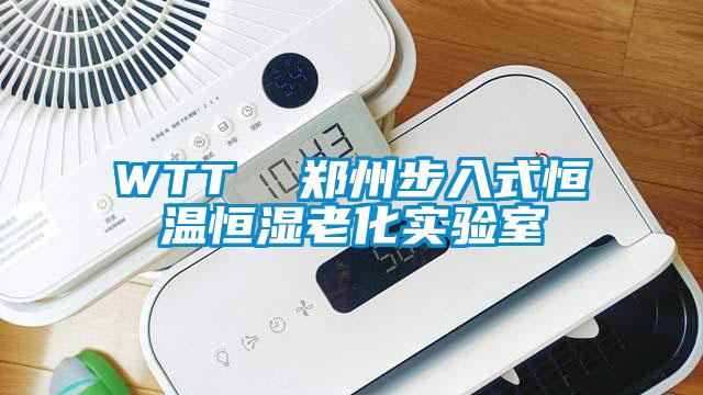 WTT  鄭州步入式恒溫恒濕老化實(shí)驗室