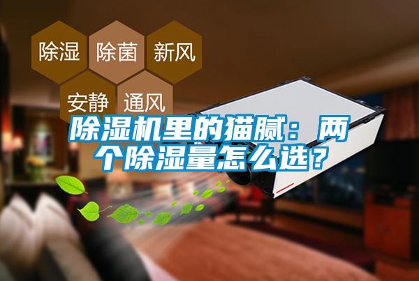 除濕機(jī)里的貓膩：兩個(gè)除濕量怎么選？