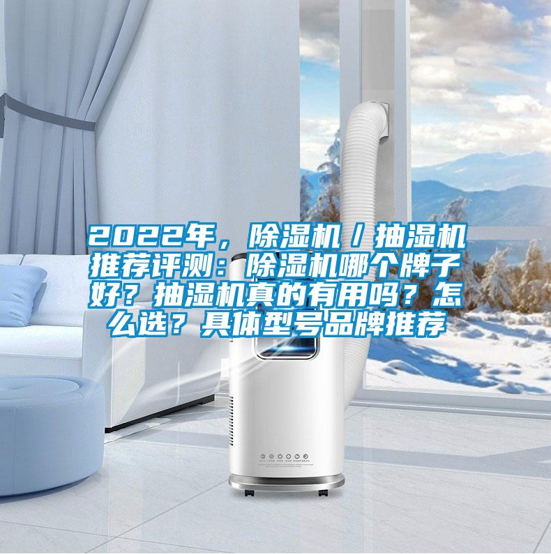 2022年，除濕機(jī)／抽濕機(jī)推薦評測：除濕機(jī)哪個(gè)牌子好？抽濕機(jī)真的有用嗎？怎么選？具體型號品牌推薦