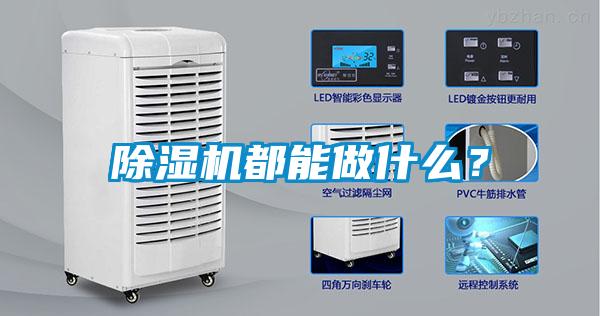 除濕機(jī)都能做什么？