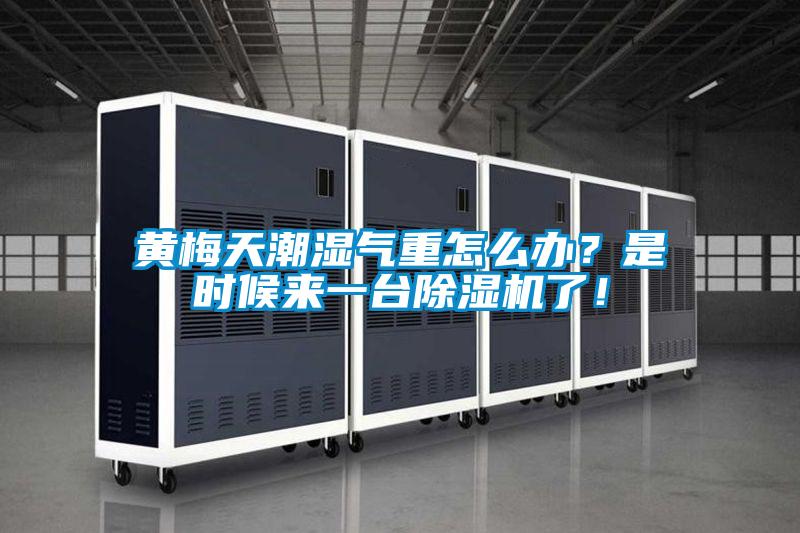 黃梅天潮濕氣重怎么辦？是時(shí)候來一臺(tái)除濕機(jī)了！