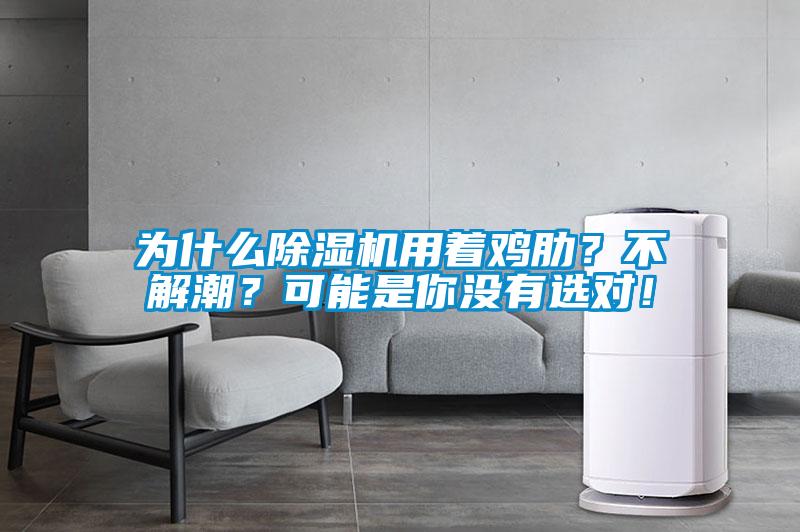 為什么除濕機用著雞肋？不解潮？可能是你沒有選對！