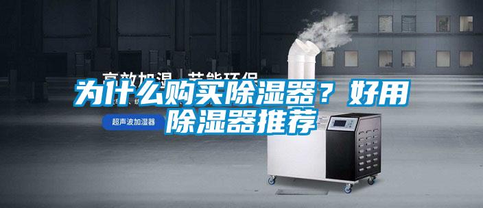 為什么購買除濕器？好用除濕器推薦