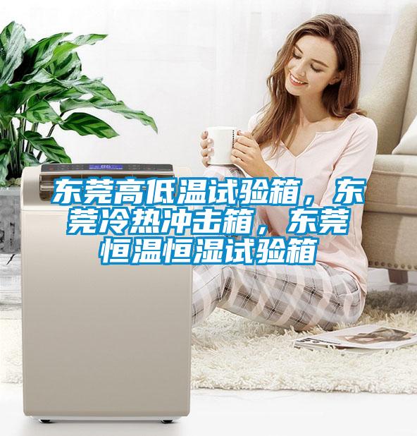 東莞高低溫試驗(yàn)箱，東莞冷熱沖擊箱，東莞恒溫恒濕試驗(yàn)箱
