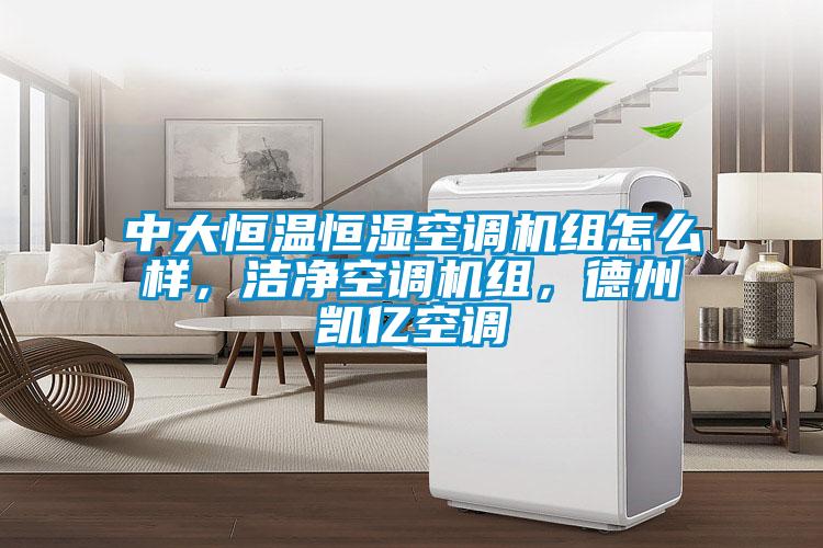 中大恒溫恒濕空調(diào)機(jī)組怎么樣，潔凈空調(diào)機(jī)組，德州凱億空調(diào)