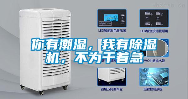 你有潮濕，我有除濕機，不為干著急