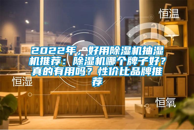 2022年，好用除濕機(jī)抽濕機(jī)推薦：除濕機(jī)哪個(gè)牌子好？真的有用嗎？性價(jià)比品牌推薦