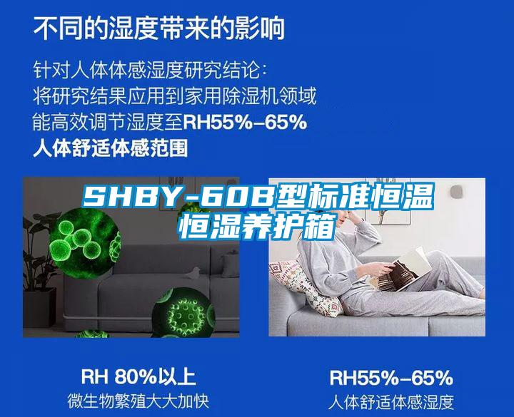 SHBY-60B型標(biāo)準(zhǔn)恒溫恒濕養(yǎng)護箱