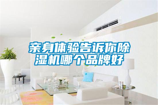 親身體驗告訴你除濕機(jī)哪個品牌好