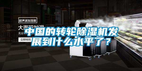 中國(guó)的轉(zhuǎn)輪除濕機(jī)發(fā)展到什么水平了？