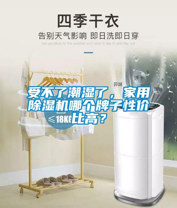 受不了潮濕了，家用除濕機哪個牌子性價比高？
