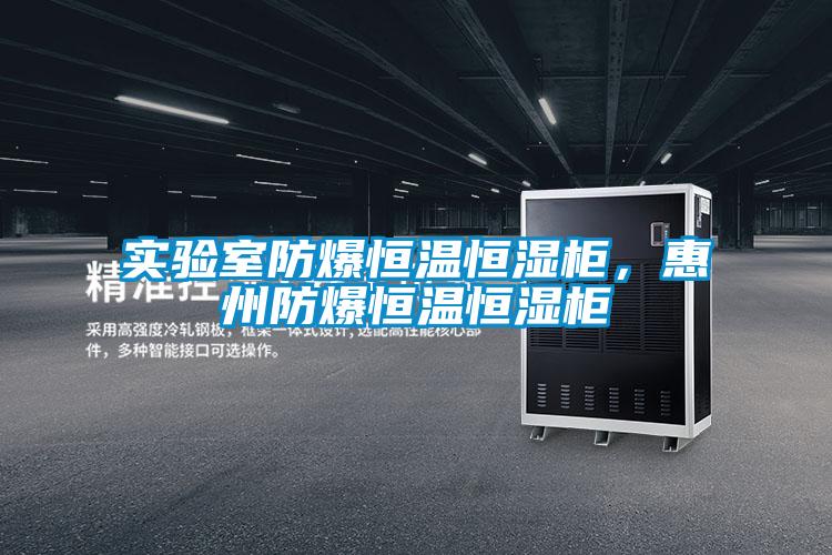 實驗室防爆恒溫恒濕柜，惠州防爆恒溫恒濕柜