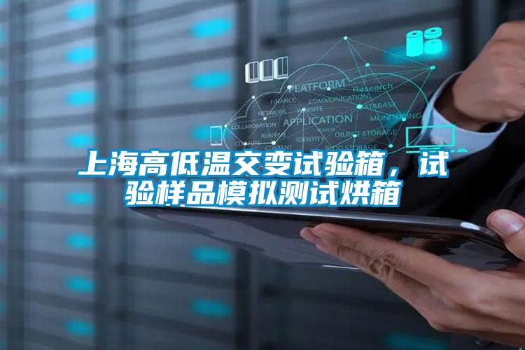 上海高低溫交變試驗箱，試驗樣品模擬測試烘箱