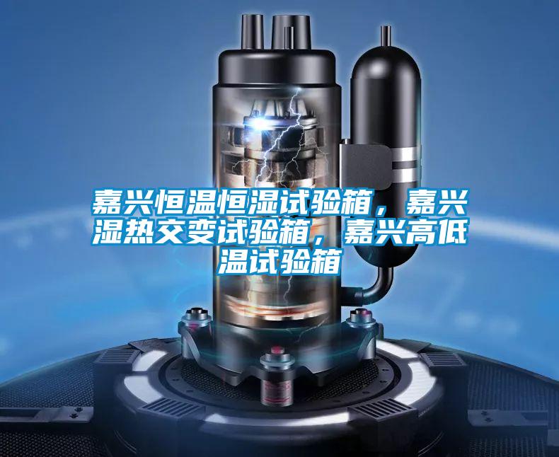 嘉興恒溫恒濕試驗(yàn)箱，嘉興濕熱交變?cè)囼?yàn)箱，嘉興高低溫試驗(yàn)箱