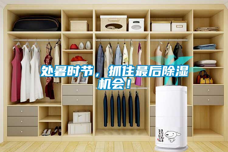 處暑時節(jié)，抓住最后除濕機(jī)會！