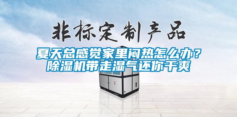 夏天總感覺家里悶熱怎么辦？除濕機(jī)帶走濕氣還你干爽