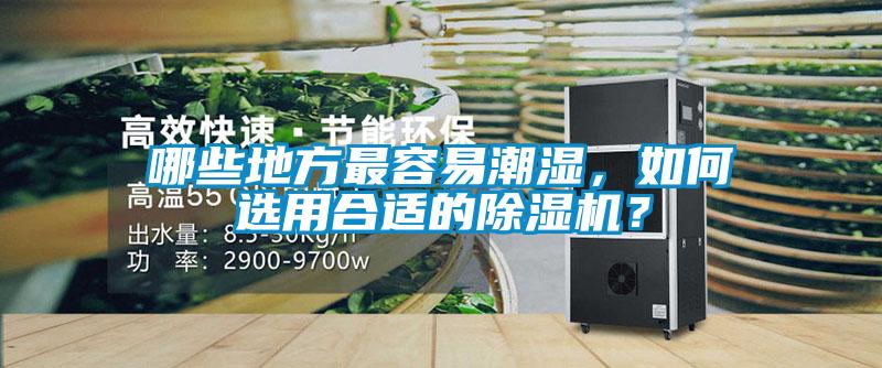 哪些地方最容易潮濕，如何選用合適的除濕機(jī)？