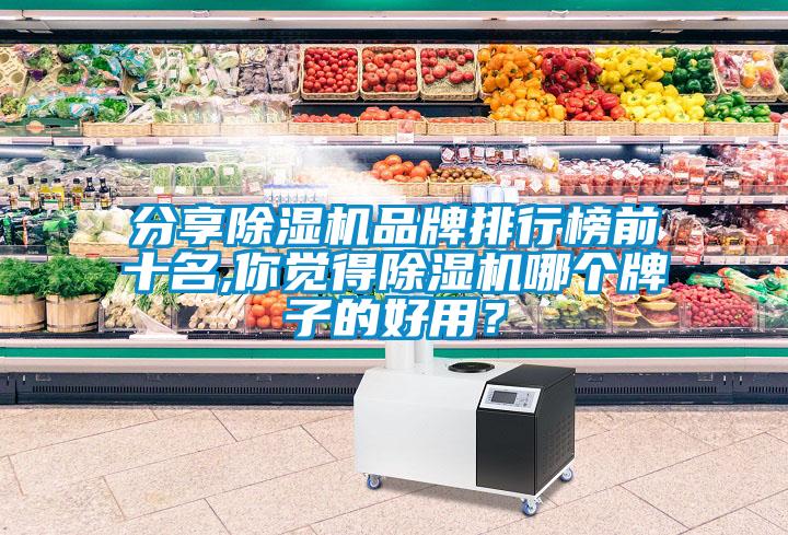 分享除濕機(jī)品牌排行榜前十名,你覺得除濕機(jī)哪個(gè)牌子的好用？