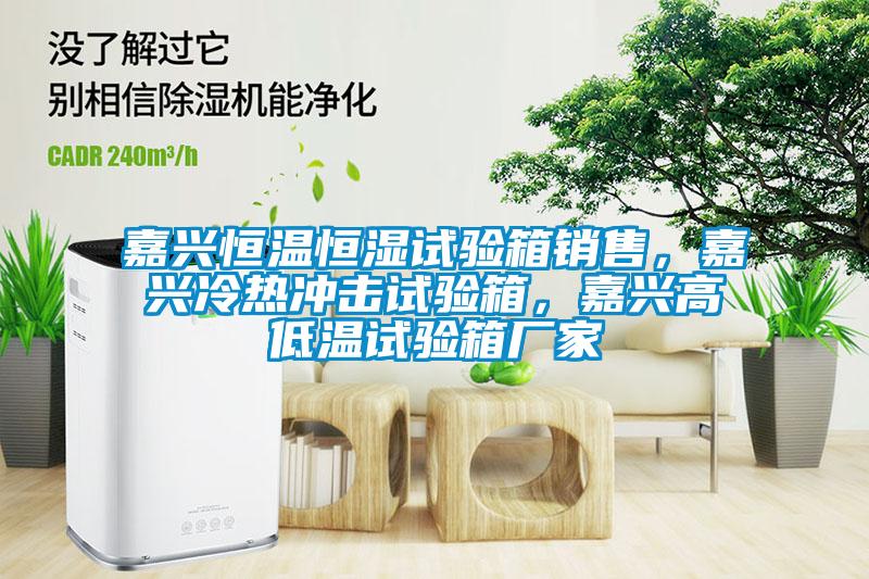 嘉興恒溫恒濕試驗(yàn)箱銷售，嘉興冷熱沖擊試驗(yàn)箱，嘉興高低溫試驗(yàn)箱廠家