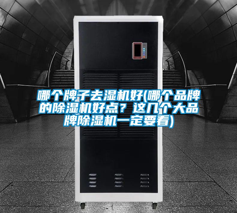 哪個(gè)牌子去濕機(jī)好(哪個(gè)品牌的除濕機(jī)好點(diǎn)？這幾個(gè)大品牌除濕機(jī)一定要看)