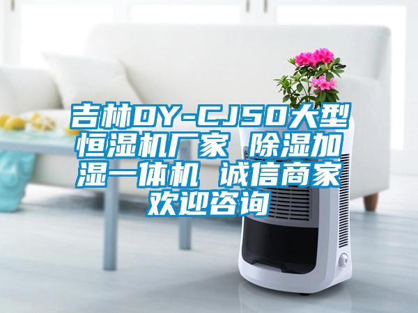 吉林DY-CJ50大型恒濕機(jī)廠家 除濕加濕一體機(jī) 誠(chéng)信商家歡迎咨詢(xún)