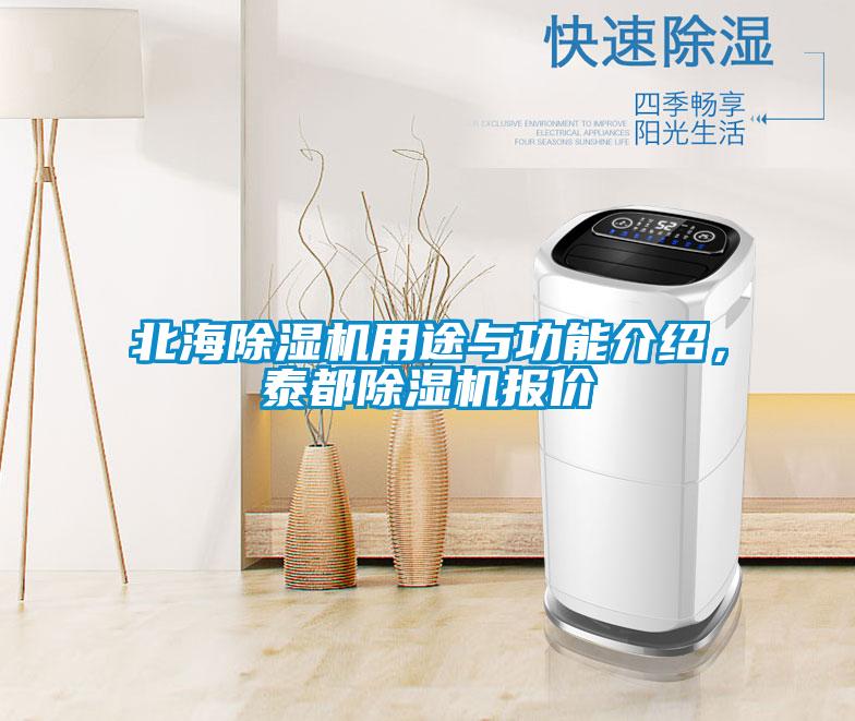 北海除濕機(jī)用途與功能介紹，泰都除濕機(jī)報(bào)價(jià)