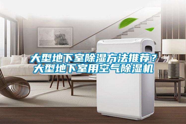 大型地下室除濕方法推薦？大型地下室用空氣除濕機
