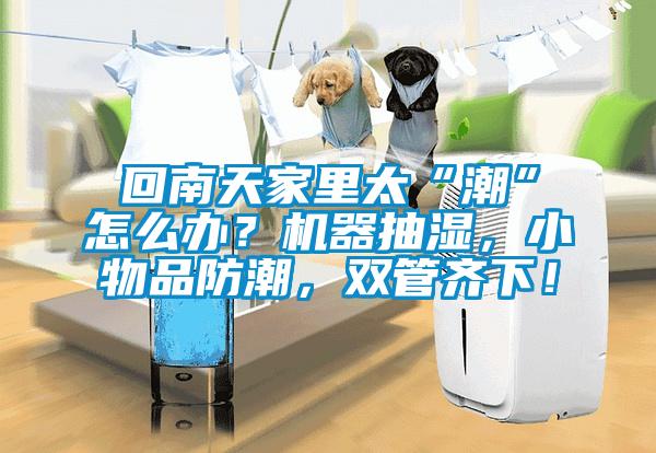 回南天家里太“潮”怎么辦？機(jī)器抽濕，小物品防潮，雙管齊下！