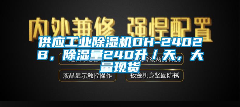 供應(yīng)工業(yè)除濕機(jī)DH-2402B，除濕量240升／天，大量現(xiàn)貨