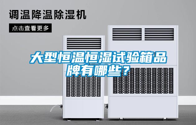 大型恒溫恒濕試驗(yàn)箱品牌有哪些？