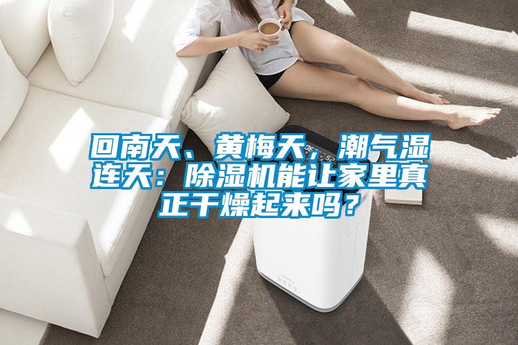 回南天、黃梅天，潮氣濕連天：除濕機能讓家里真正干燥起來嗎？