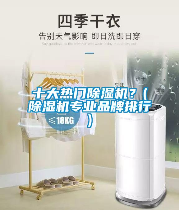 十大熱門除濕機(jī)？(除濕機(jī)專業(yè)品牌排行)