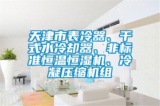 天津市表冷器、干式水冷卻器、非標(biāo)準(zhǔn)恒溫恒濕機(jī)、冷凝壓縮機(jī)組