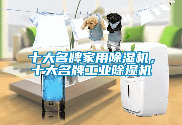 十大名牌家用除濕機，十大名牌工業(yè)除濕機