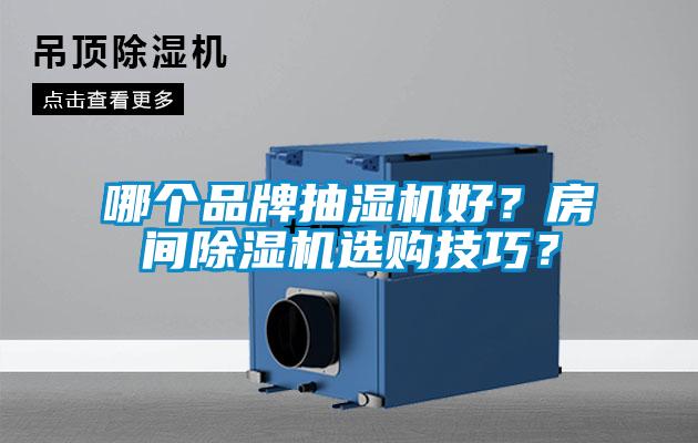哪個品牌抽濕機好？房間除濕機選購技巧？