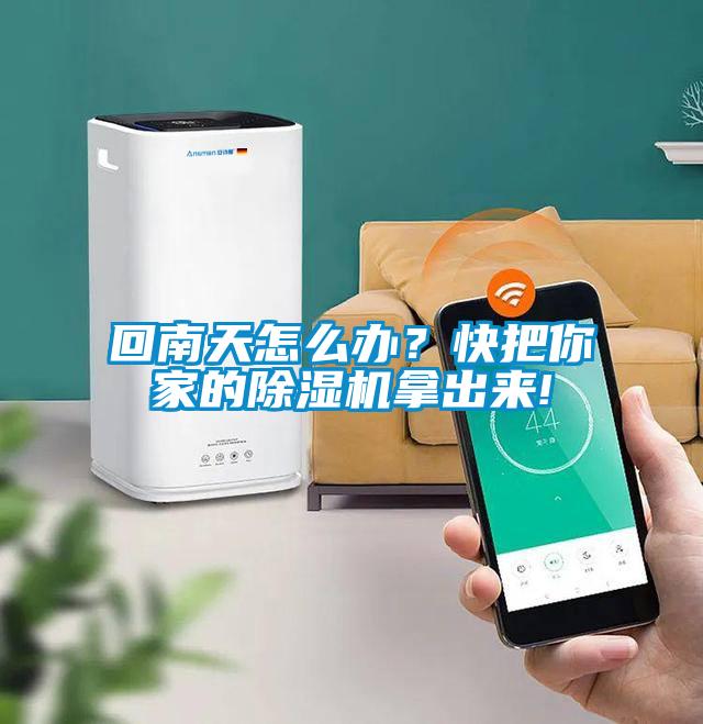 回南天怎么辦？快把你家的除濕機拿出來!
