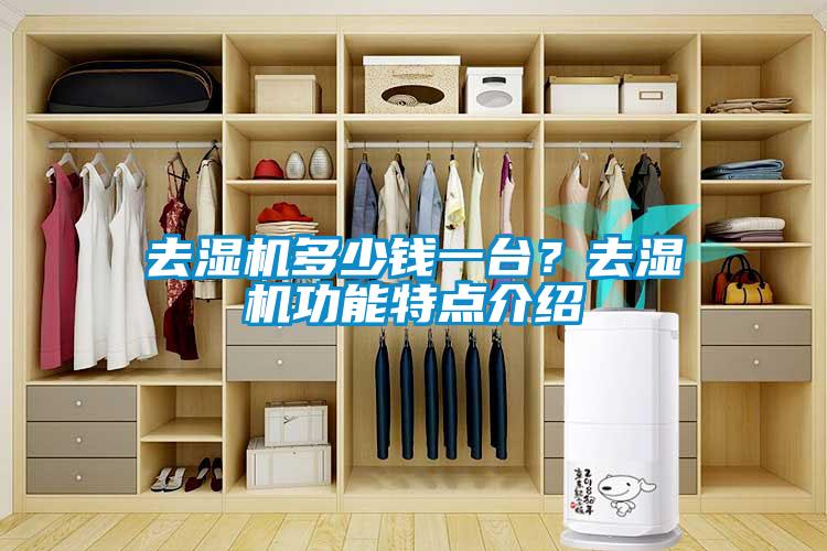 去濕機(jī)多少錢(qián)一臺(tái)？去濕機(jī)功能特點(diǎn)介紹